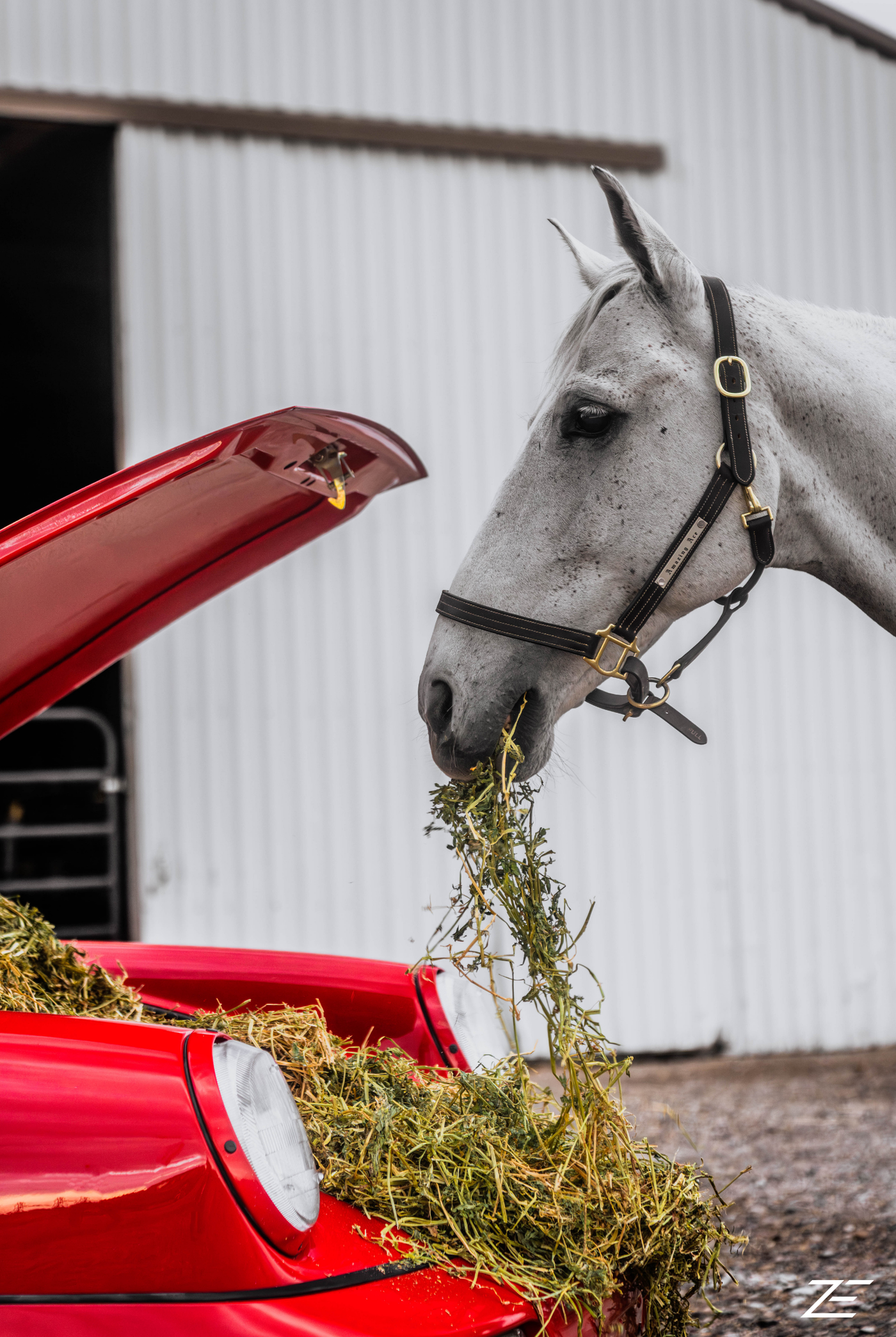 Porsche Stable ZE Vertical Wall Art